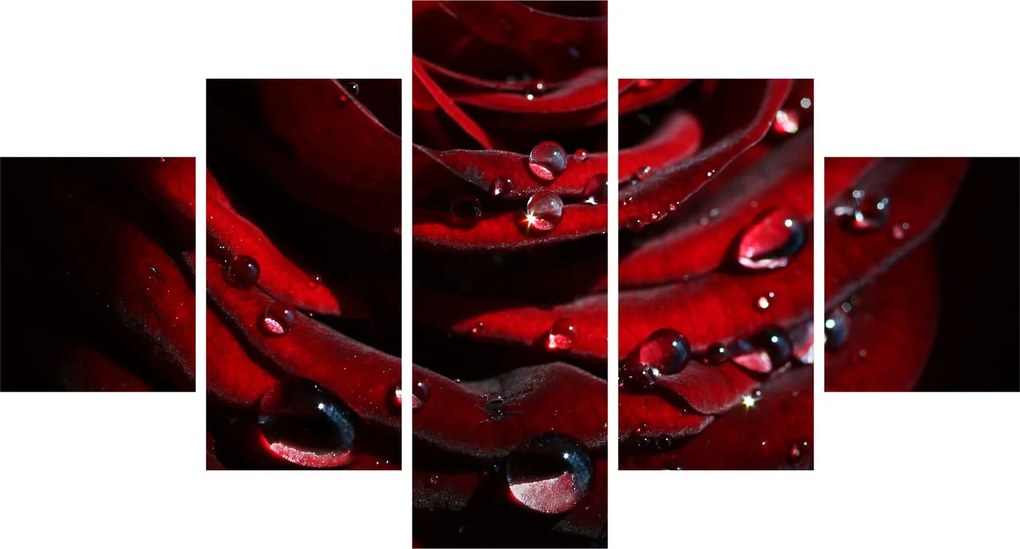 Obraz - Detal róży (125x70 cm)
