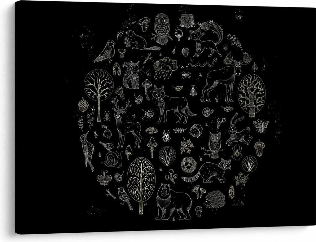 Obraz - Natura (70x50 cm)