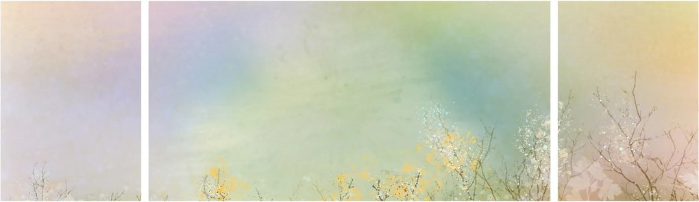 Obraz - Malowana łąka 2 (170x50 cm)