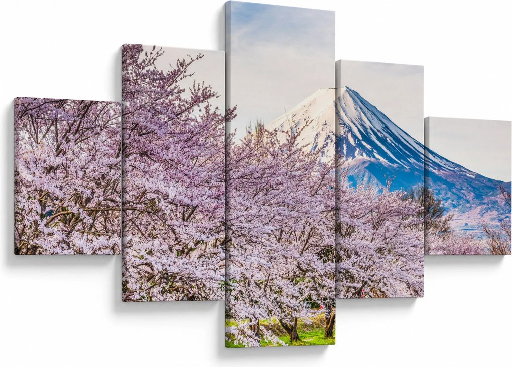 Obraz - Japonia wiosną (125x70 cm)