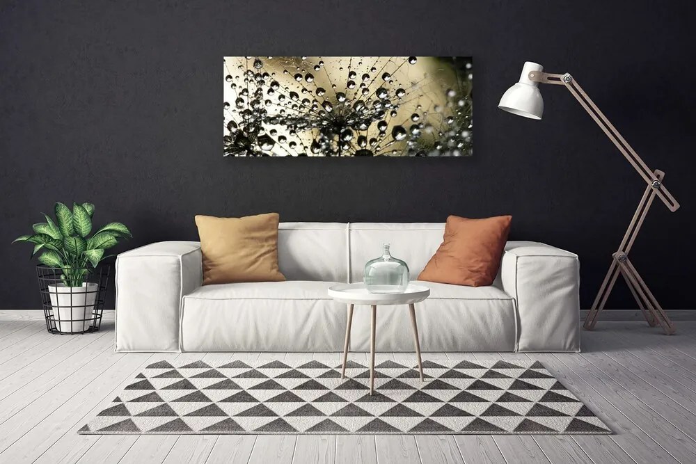 Obraz na płótnie Lekkość Mniszka Lekarskiego