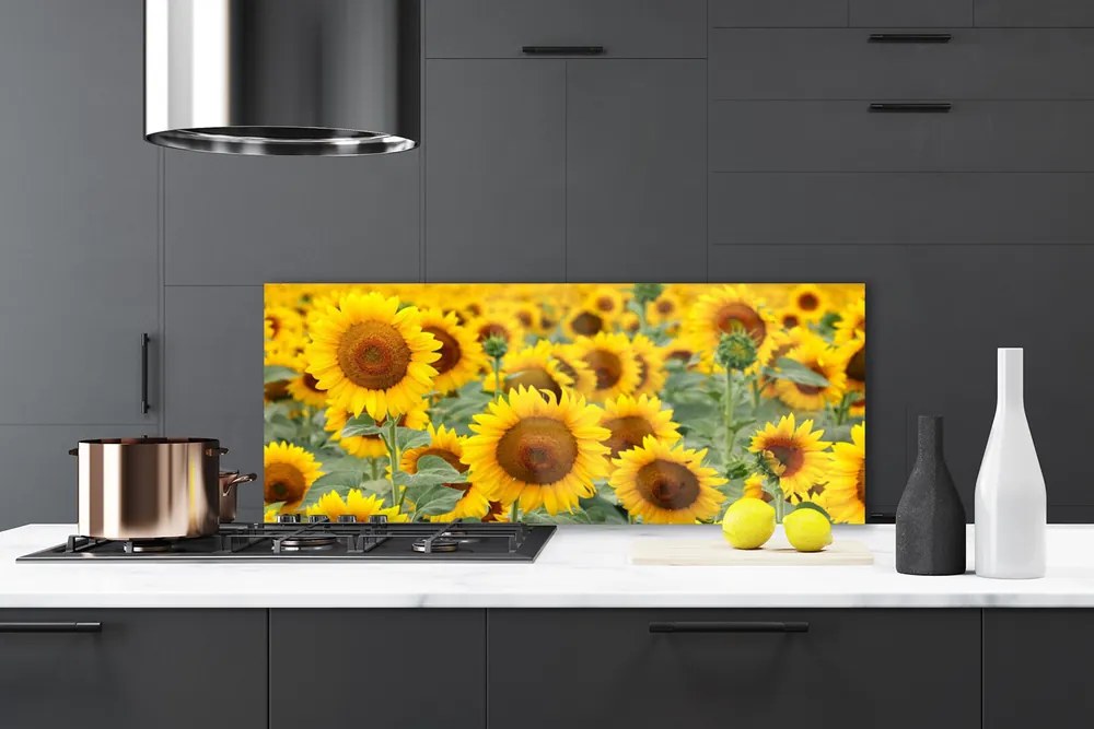 Panel Szklany Złociste Słoneczniki