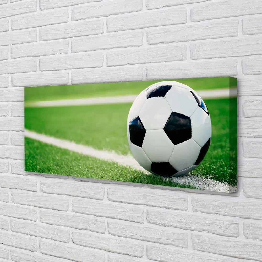 Zdjęcie na płótnie Detal Piłki Na Trawie