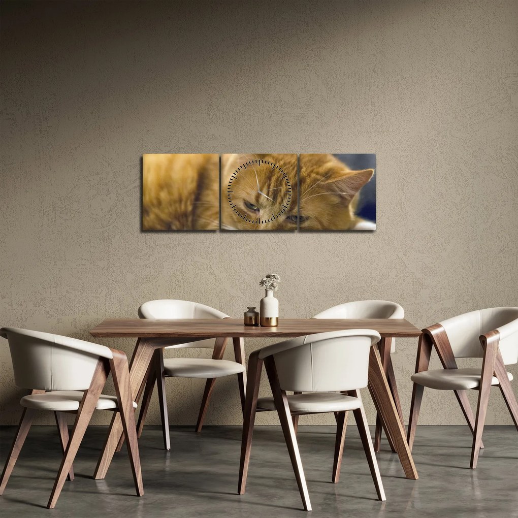 Obraz kota (z zegarem) (90x30 cm)