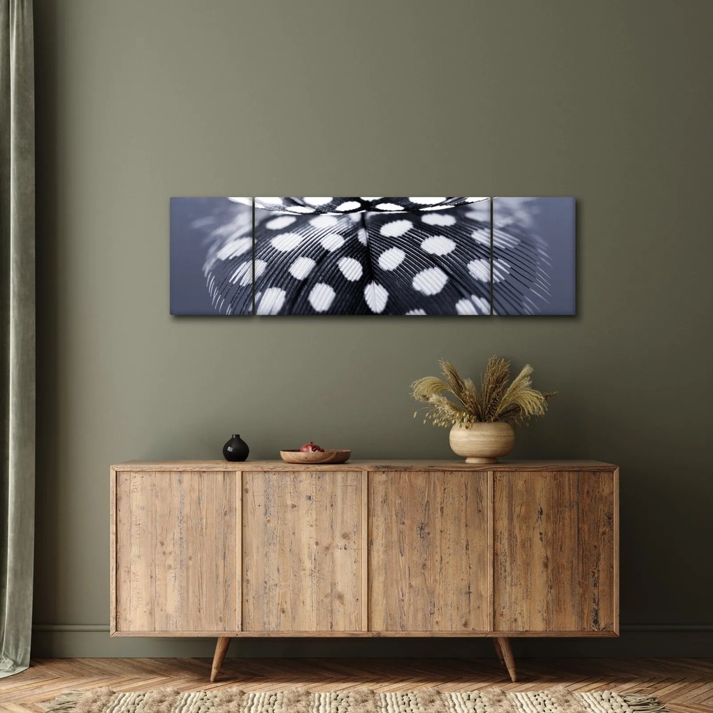 Obraz - Piórko (170x50 cm)