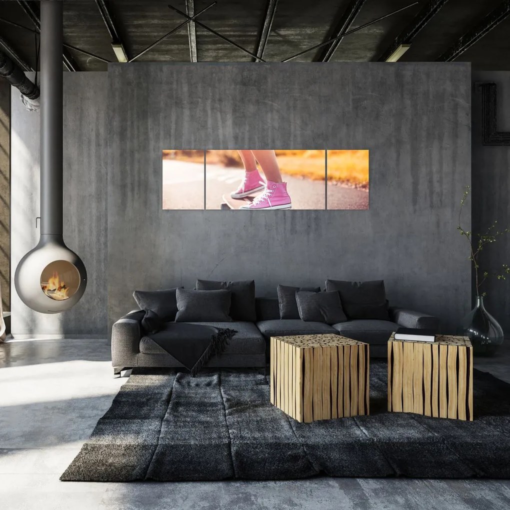 Obraz deskorolki (170x50 cm)
