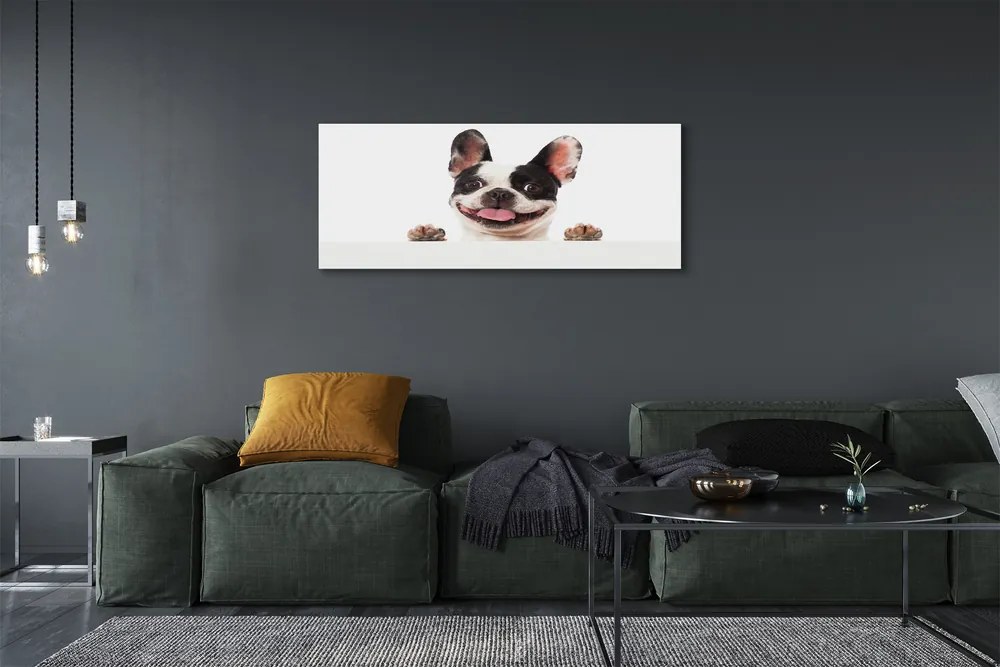 Obraz drukowany na płótnie Portret Psa