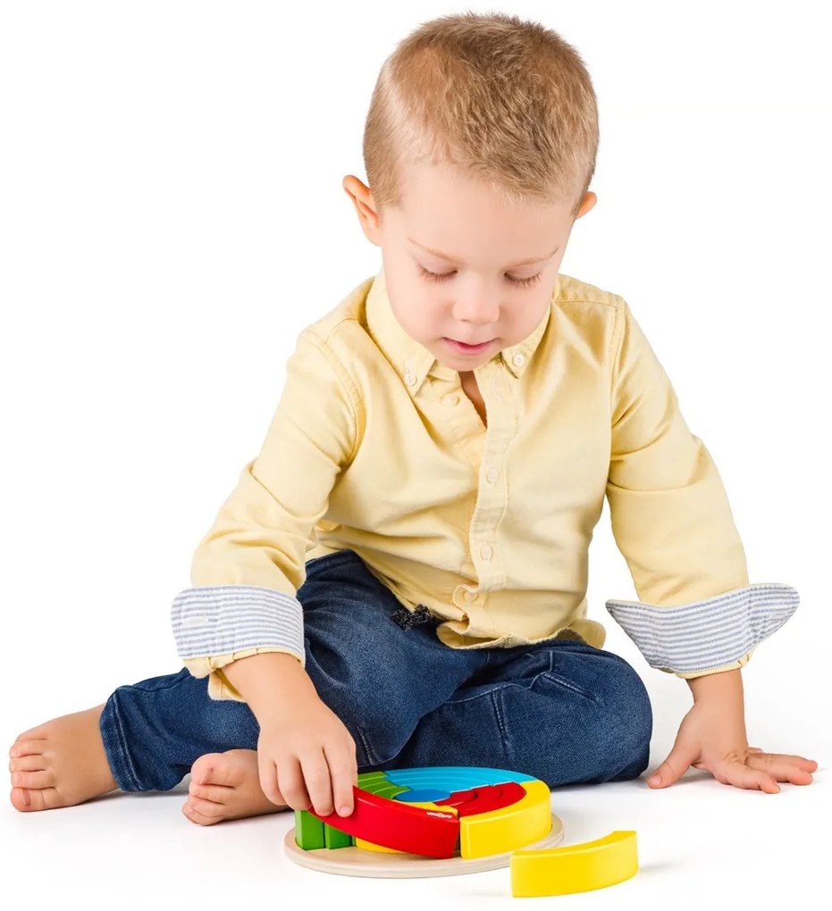 Woody Składane koła tęczowe