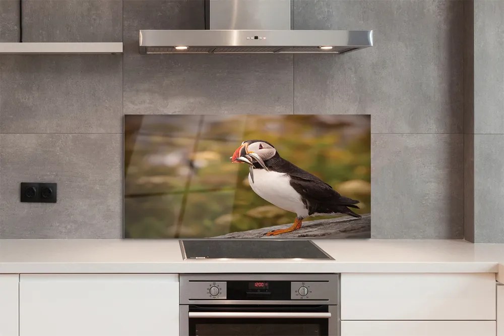 Panel Kuchenny Szklany Portret Barwnej Papugi