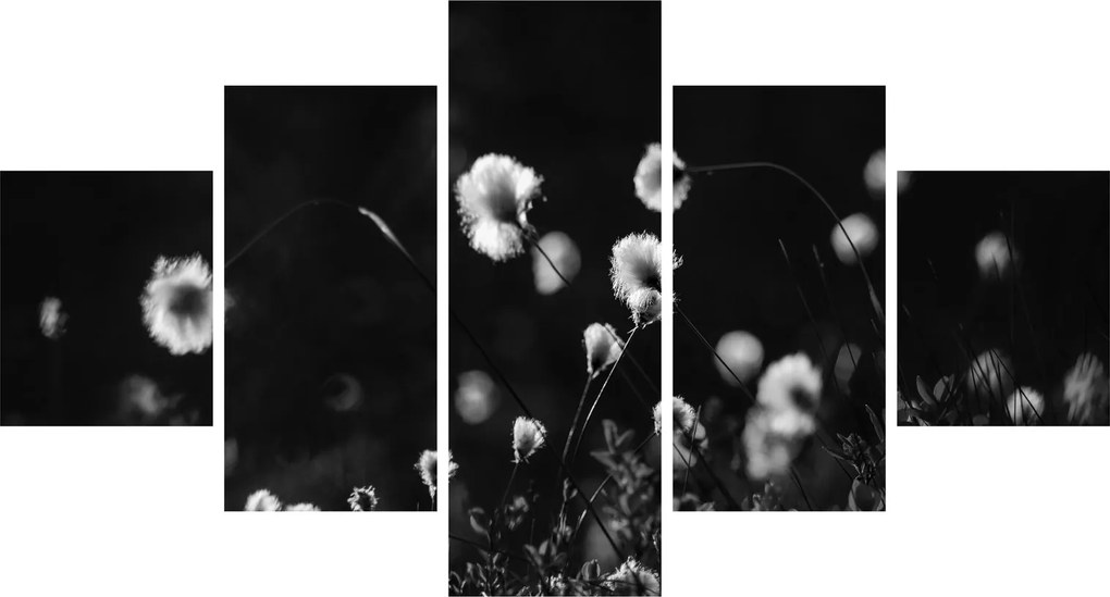 Obraz - Łąka z trawą bawełnianą N⁰1 (125x70 cm)
