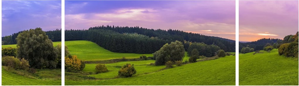 Obraz łąki (170x50 cm)