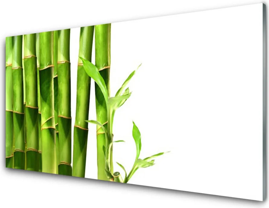 Panel Kuchenny Egzotyczny Pęd Bambusa