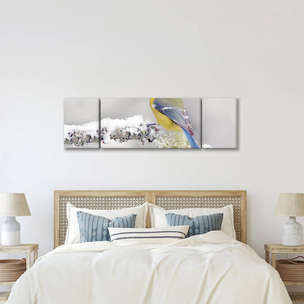 Obraz - Sikora modraszka w lesie (170x50 cm)