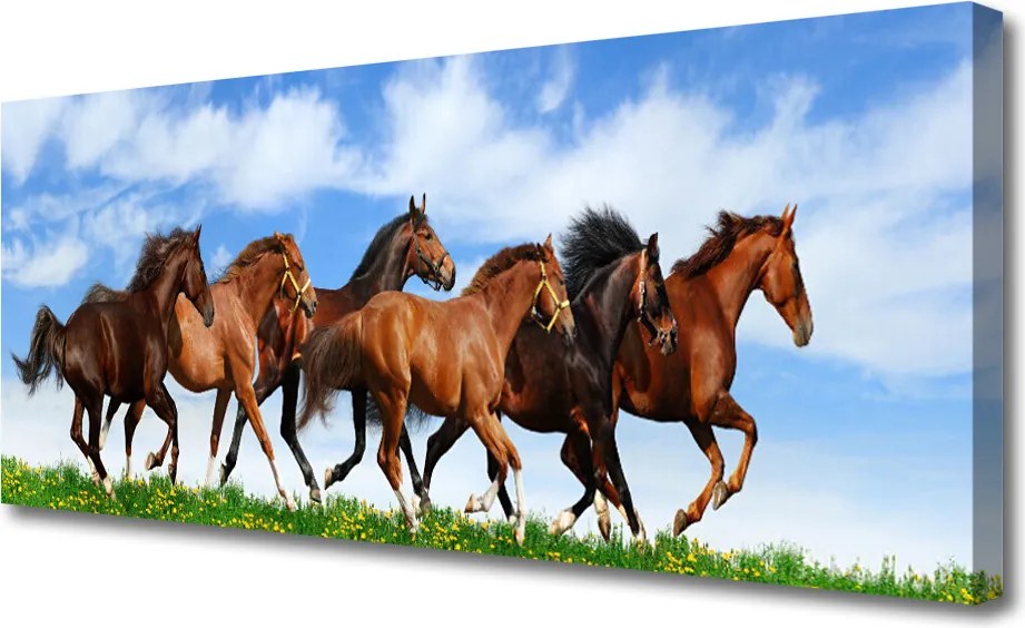 Zdjęcie na płótnie Dzikie Konie w Galopie