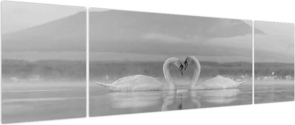 Obraz - Zakochane łabędzie (170x50 cm)