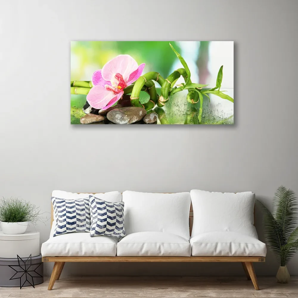 Obraz Canvas Bambus Łodyga Roślina Natura