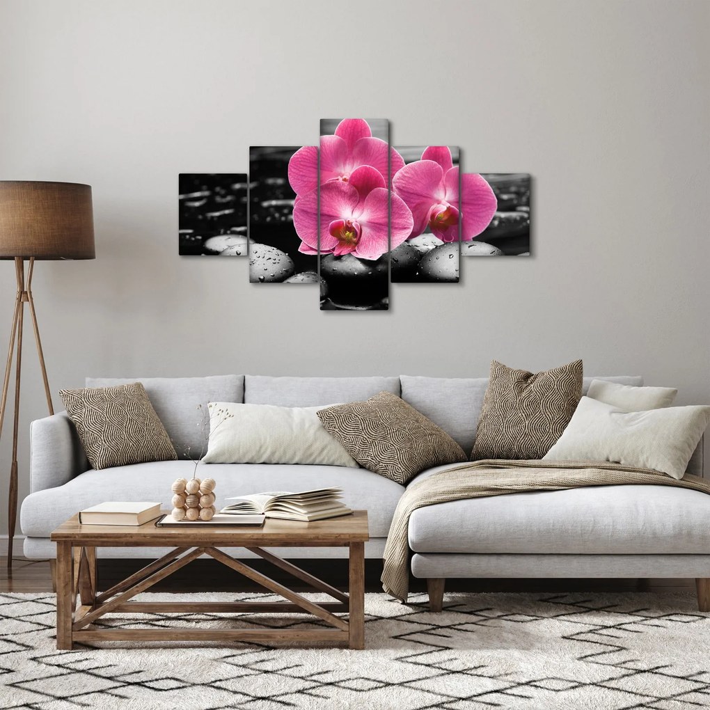Obraz - Różowe orchidee (125x70 cm)