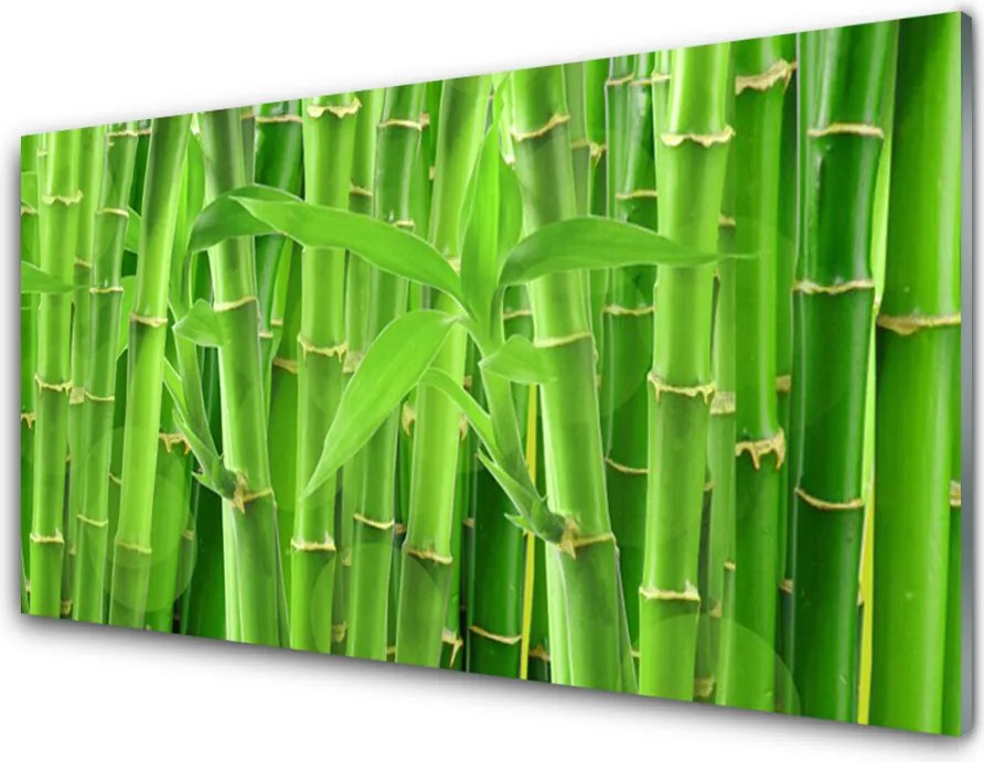 Szkło do Kuchni na Ścianę Kwiaty I Pędy Bambusa