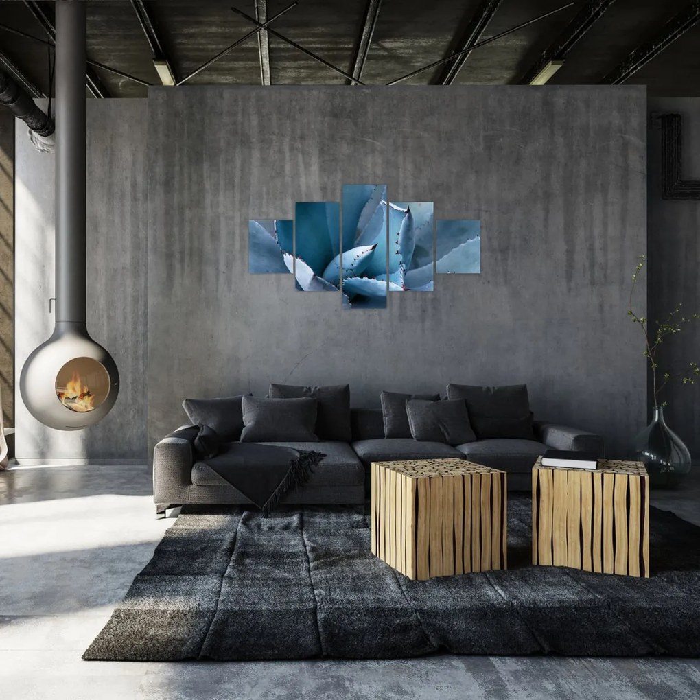 Obraz - Agawa (125x70 cm)