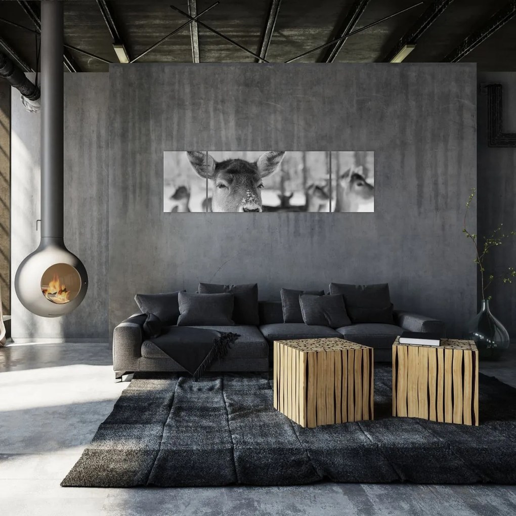 Obraz - Jelonki, czarno - biały (170x50 cm)