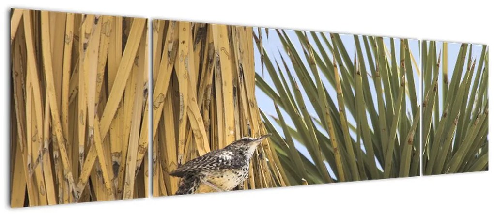 Obraz - Strzyżyk (170x50 cm)