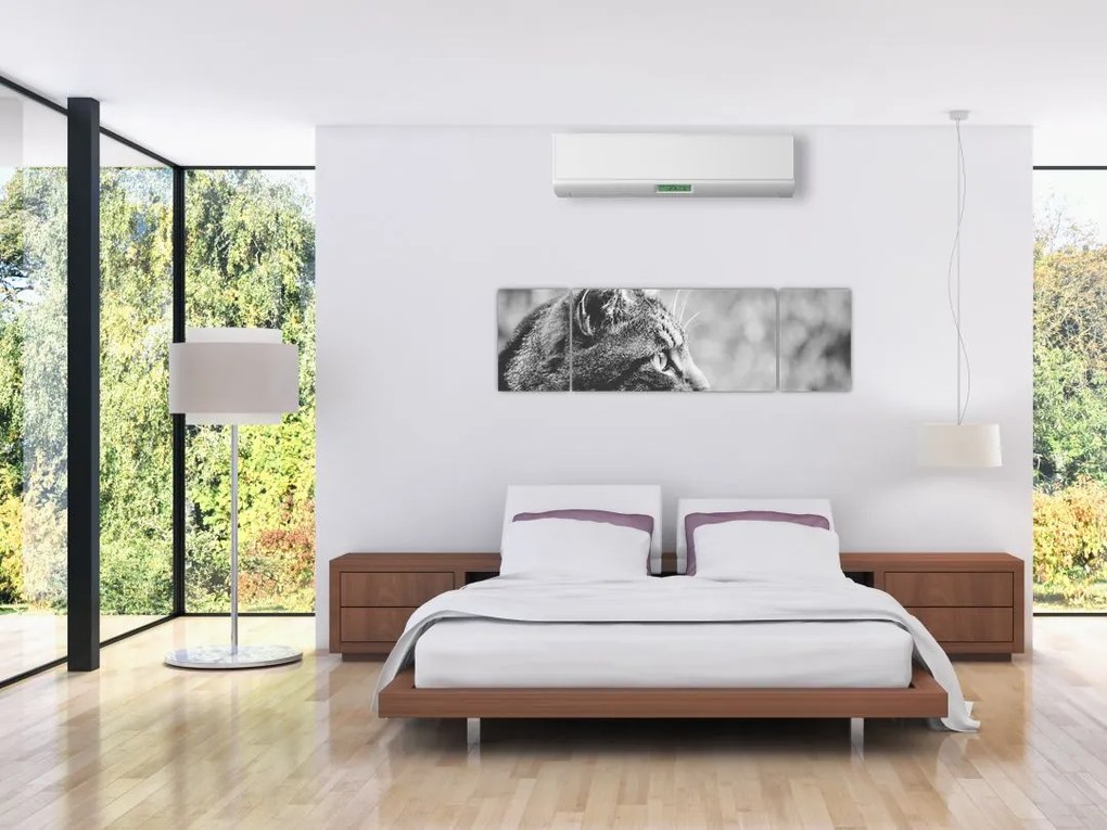 Obraz - Kot (170x50 cm)