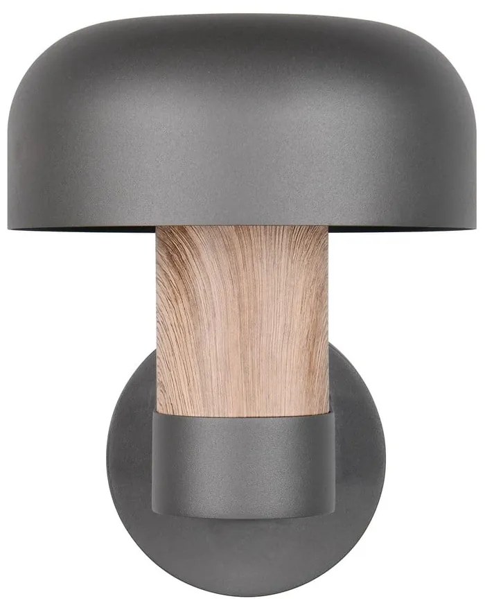 Zewnętrzna lampa ścienna (wysokość 24,5 cm) Fraser – Trio