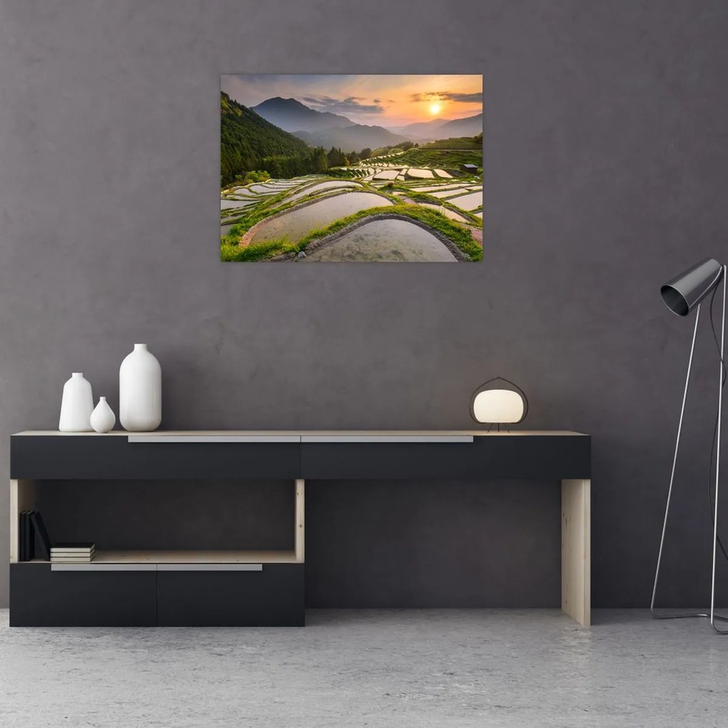 Obraz - Tarasy ryżowe (70x50 cm)