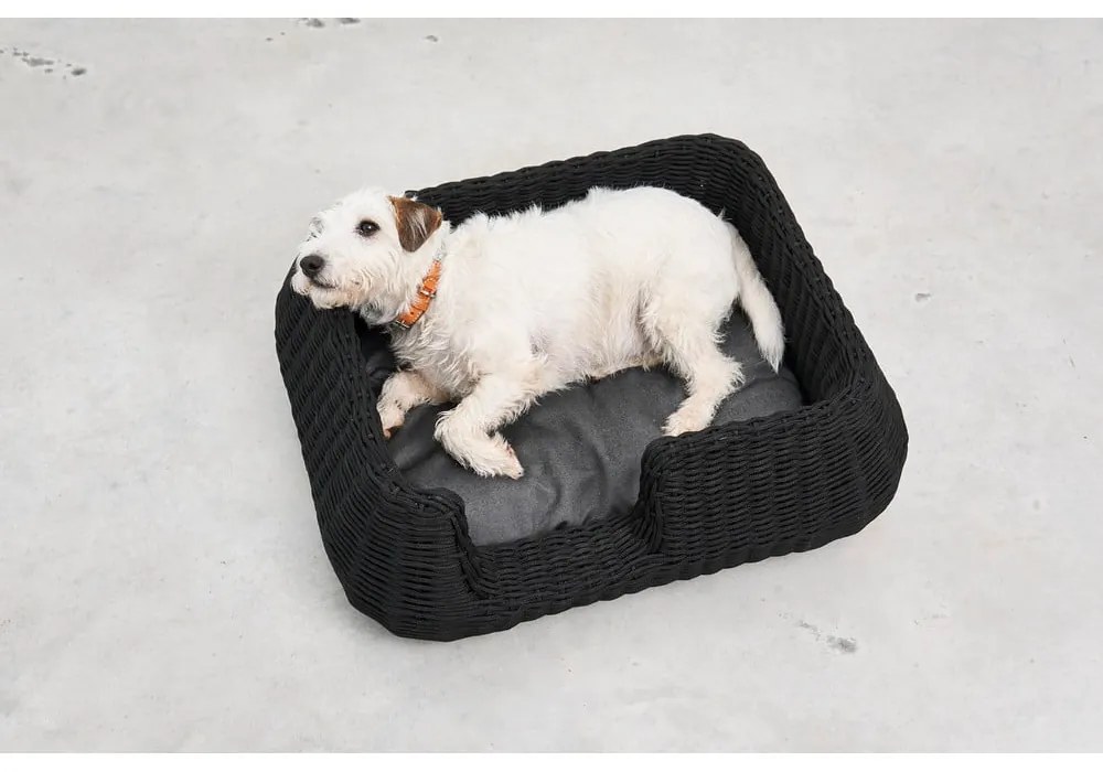Antracytowe legowisko dla psów 58x68 cm Mio Anthracite S – MiaCara