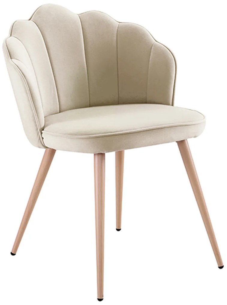 Aksamitne krzeso Blume