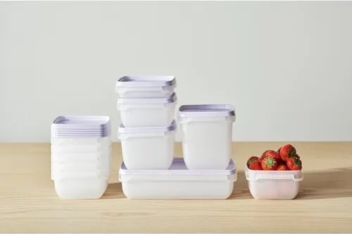 SmartStore Zestaw plastikowych pojemników Freezer 3 szt., lawenda, 1000 ml, 1000 ml