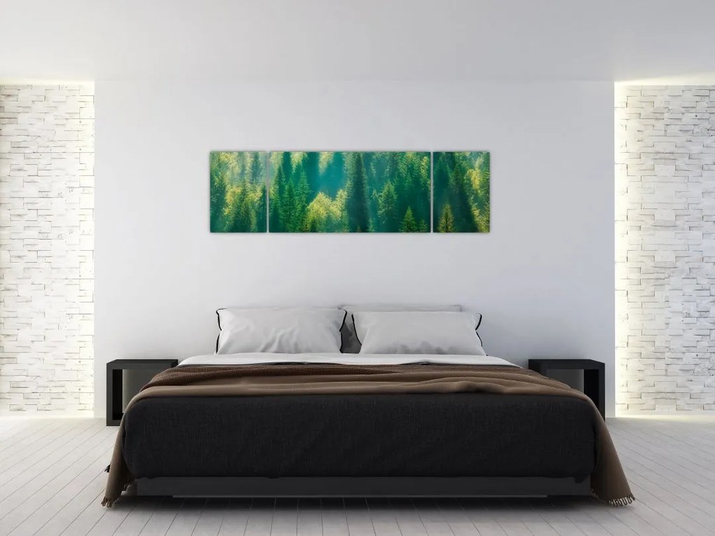 Obraz - Las sosnowy (170x50 cm)