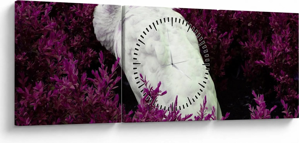 Obraz - Biały paw (z zegarem) (90x30 cm)