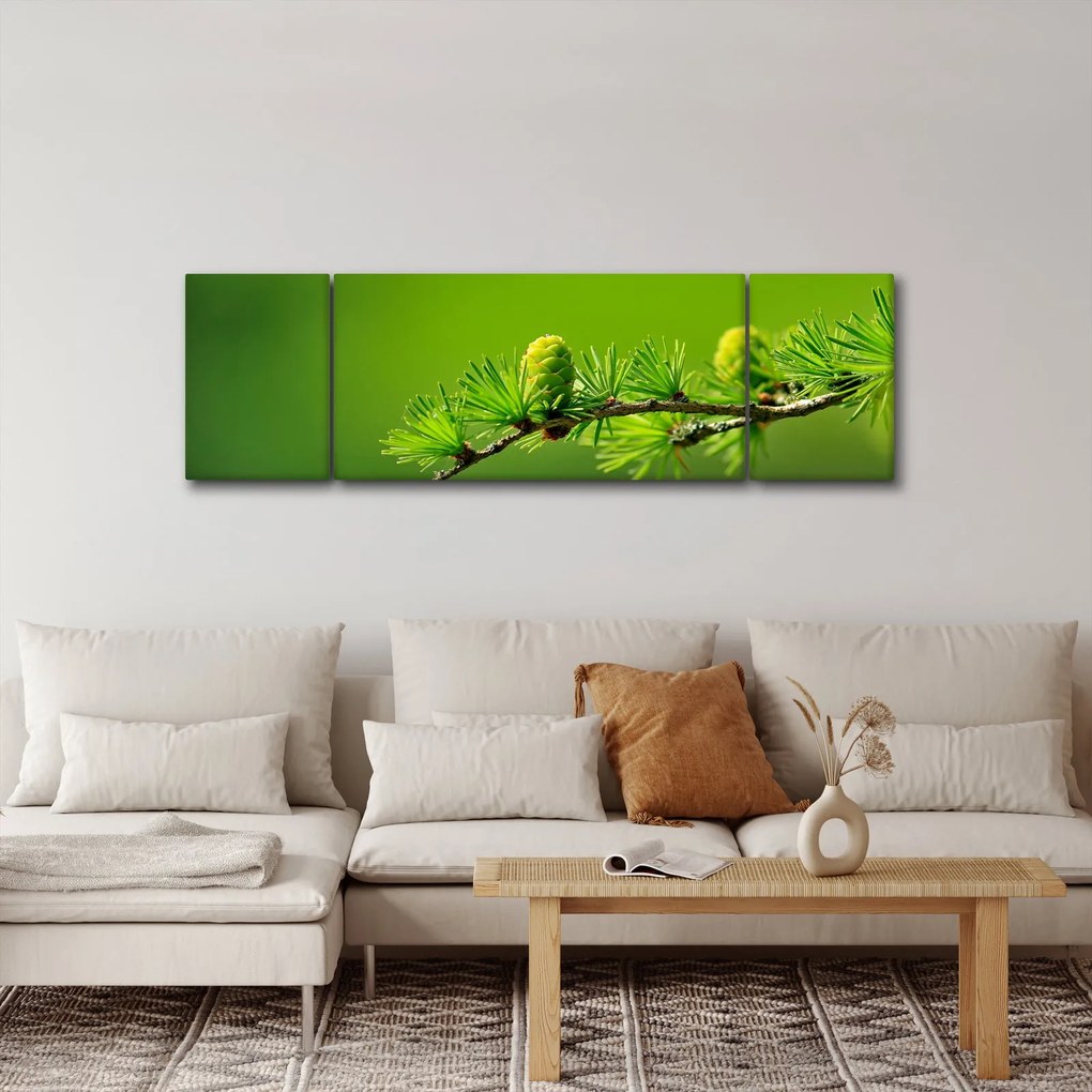 Obraz zielonej szyszki (170x50 cm)