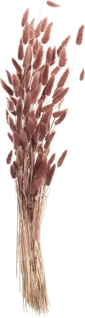 Bukiet Dmuszka 60cm dusty pink