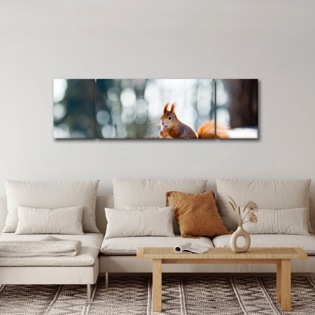 Obraz - Wiewiórka (170x50 cm)