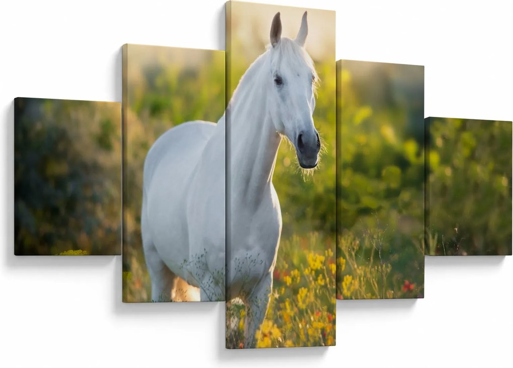 Obraz białego konia na łące (125x70 cm)