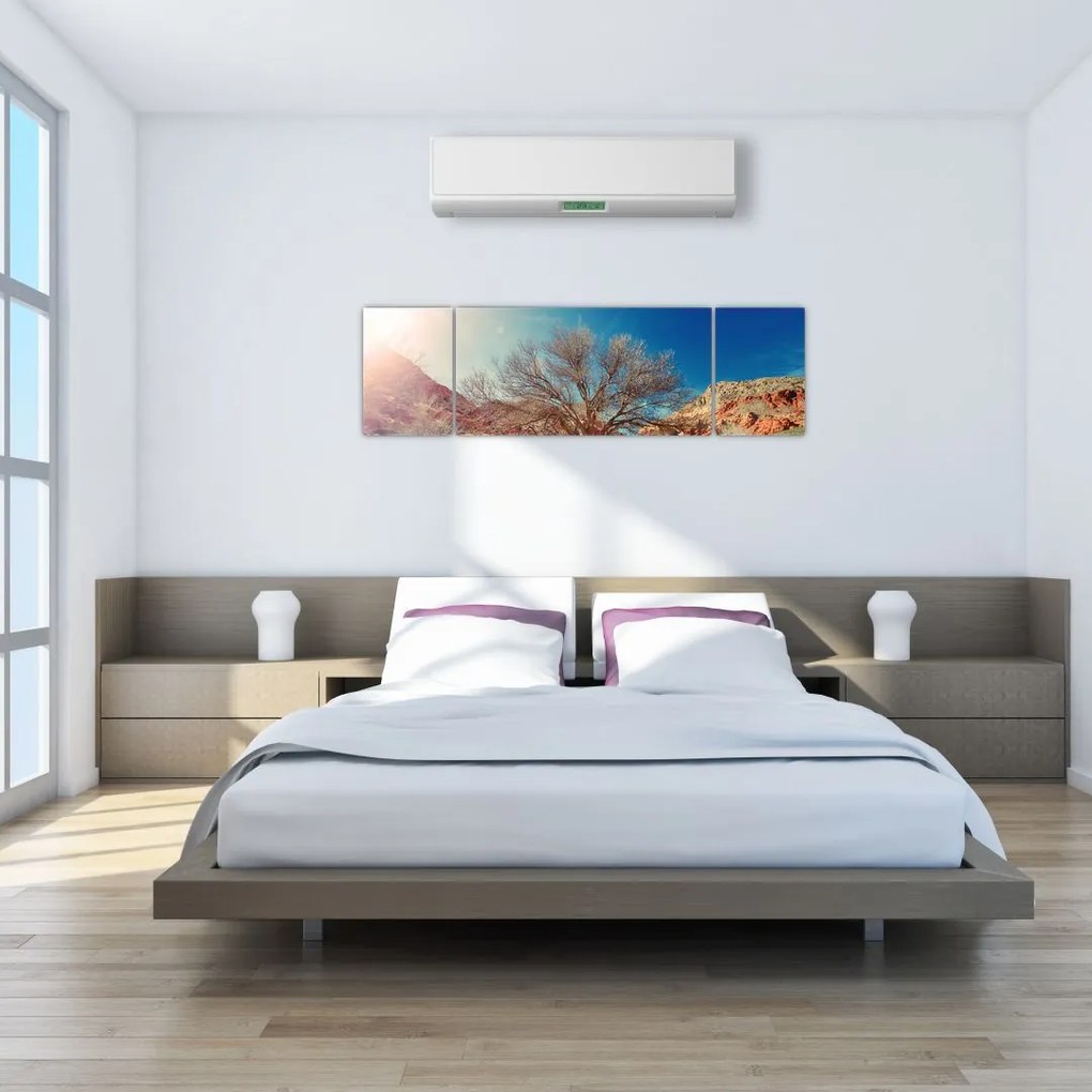 Obraz drzewa na pustyni (170x50 cm)