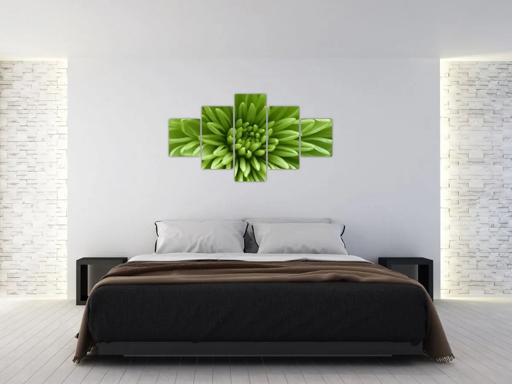 Obraz - Obraz rośliny w trybie makro (125x70 cm)