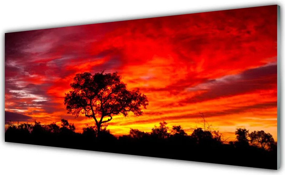 Szkło do Kuchni na Ścianę Głusza Leśnej Natury