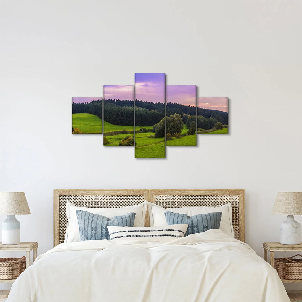 Obraz łąki (125x70 cm)