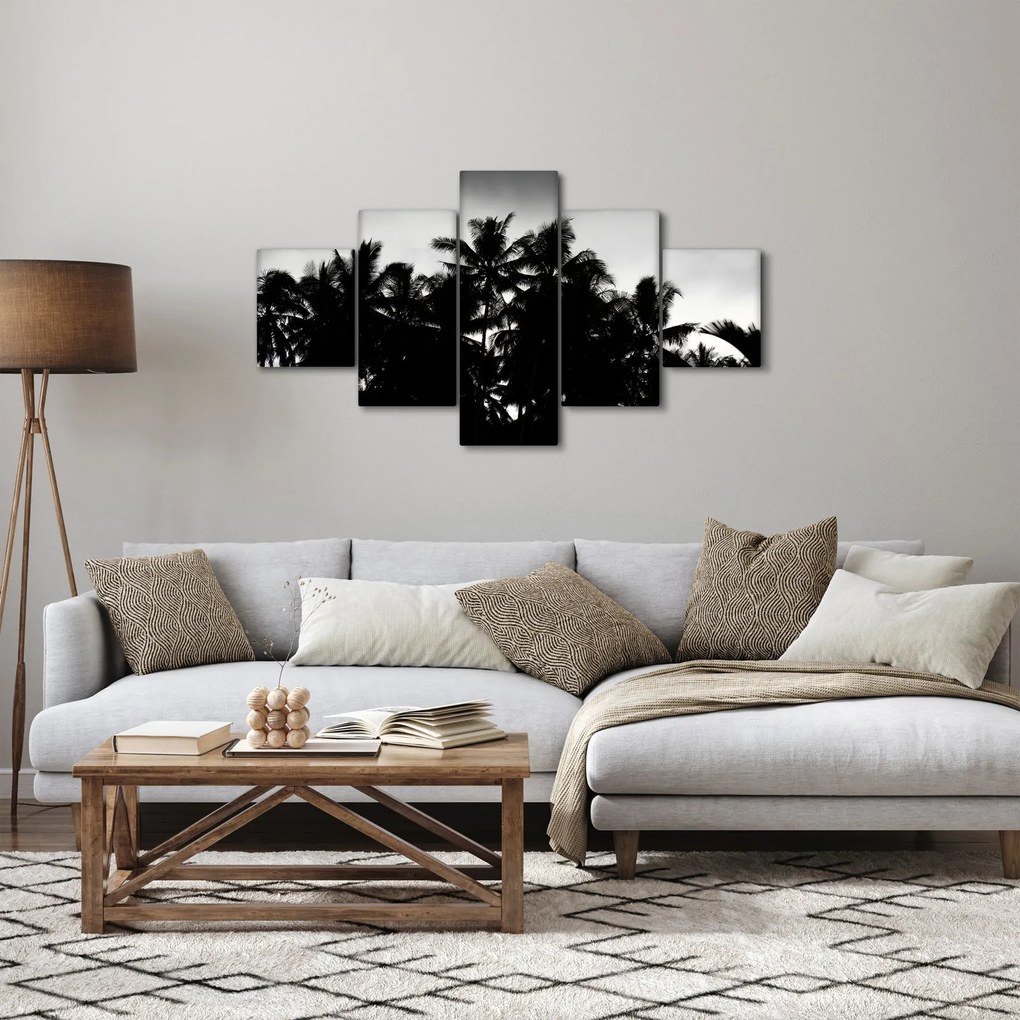 Obraz czarno - biały - palmy (125x70 cm)