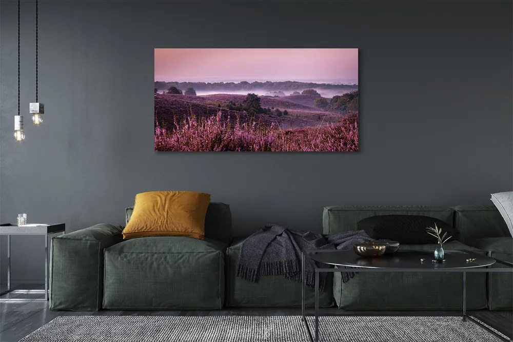 Obraz drukowany na płótnie Pole Wrzosów