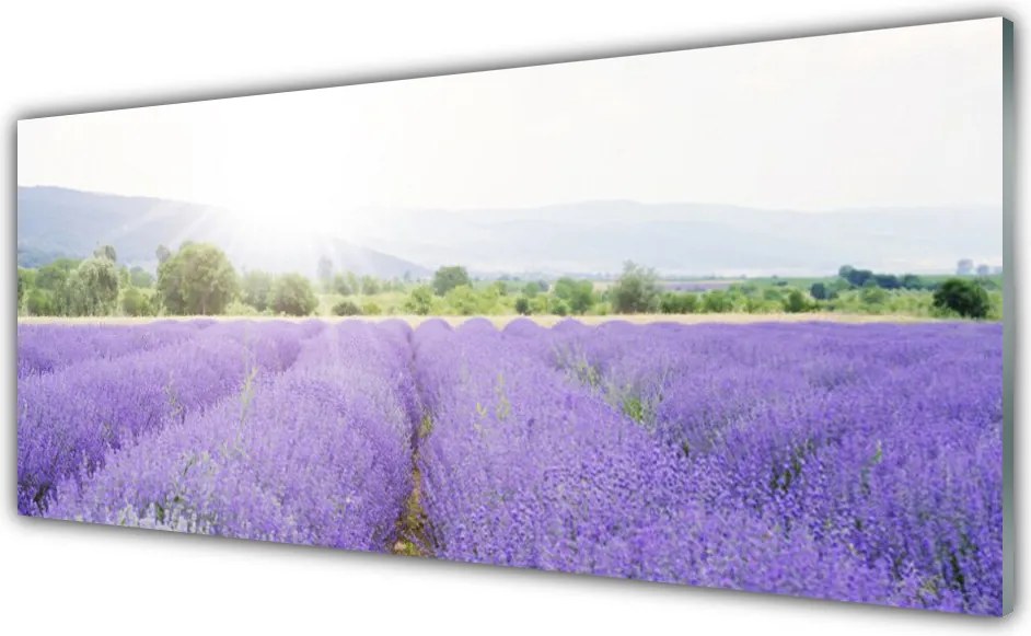 Panel Szklany Zapach Lawendowej Polany
