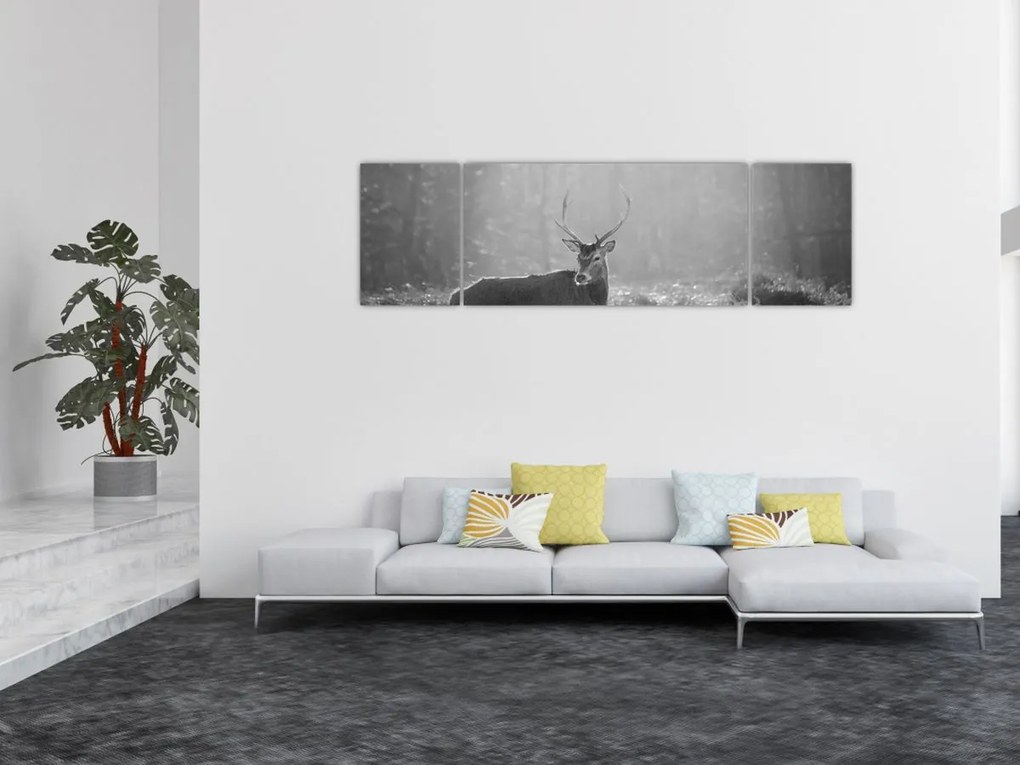 Obraz - Jeleń w lesie, czarno - biały (170x50 cm)
