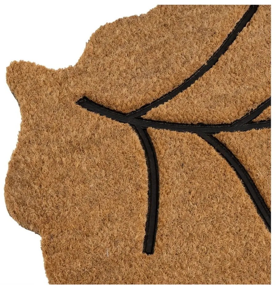 Wycieraczka z włókna kokosowego 45x75 cm Leaf – Casa Selección