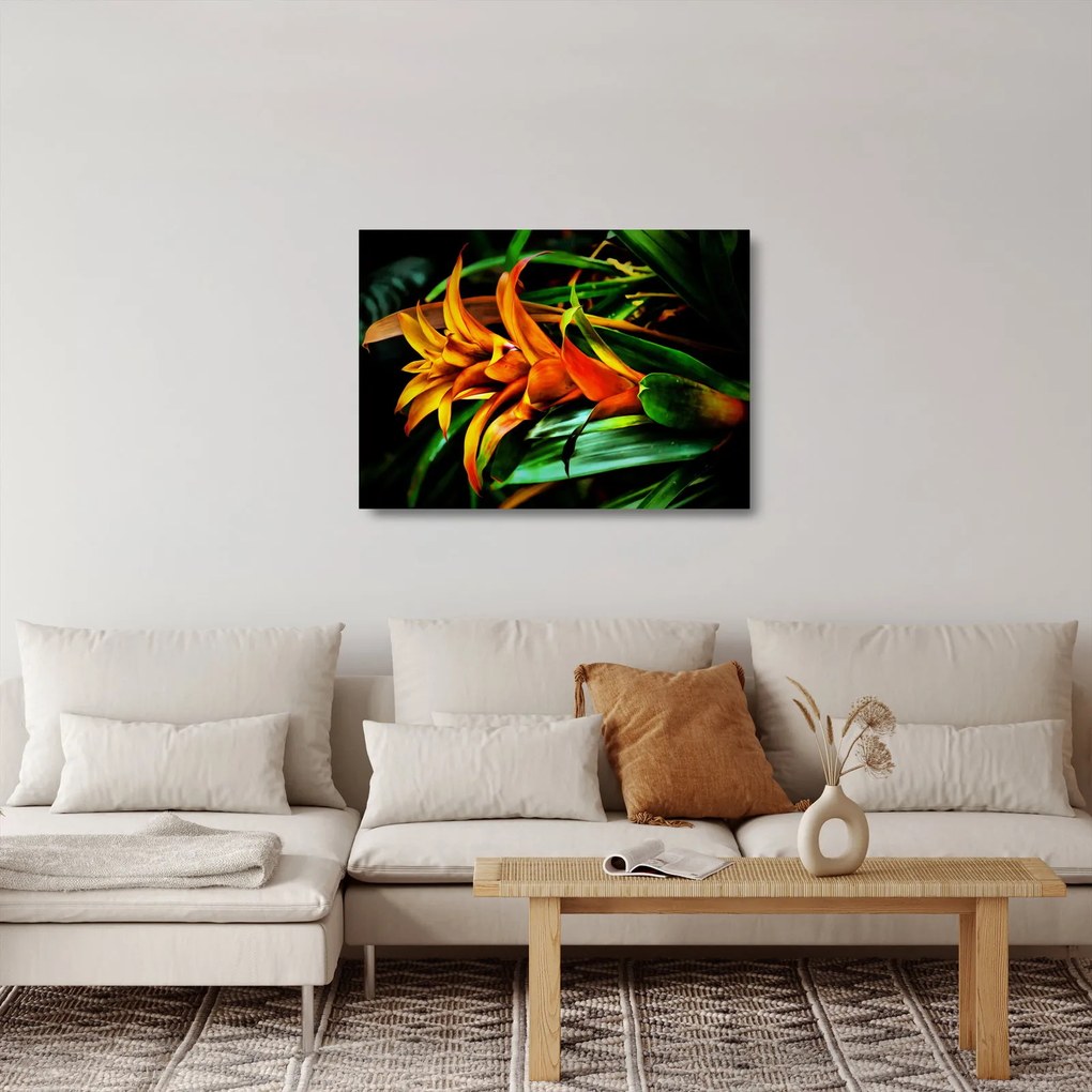Obraz na szkle pomarańczowego kwiatu (70x50 cm)