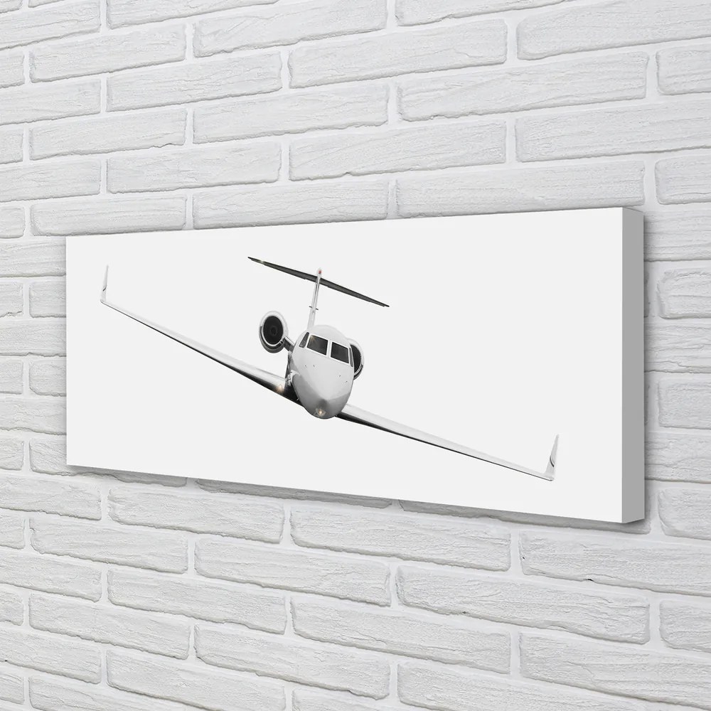 Obraz drukowany na płótnie Sylwetka Samolotu pod Niebem