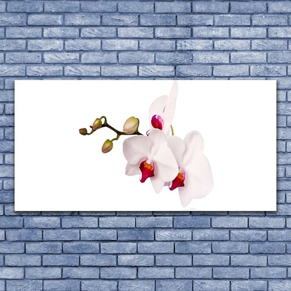 Obraz canvas Wieczorny Lot nad Łąką