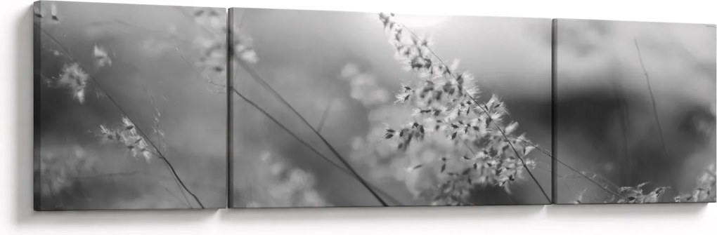 Obraz - Jesienna łąka (170x50 cm)